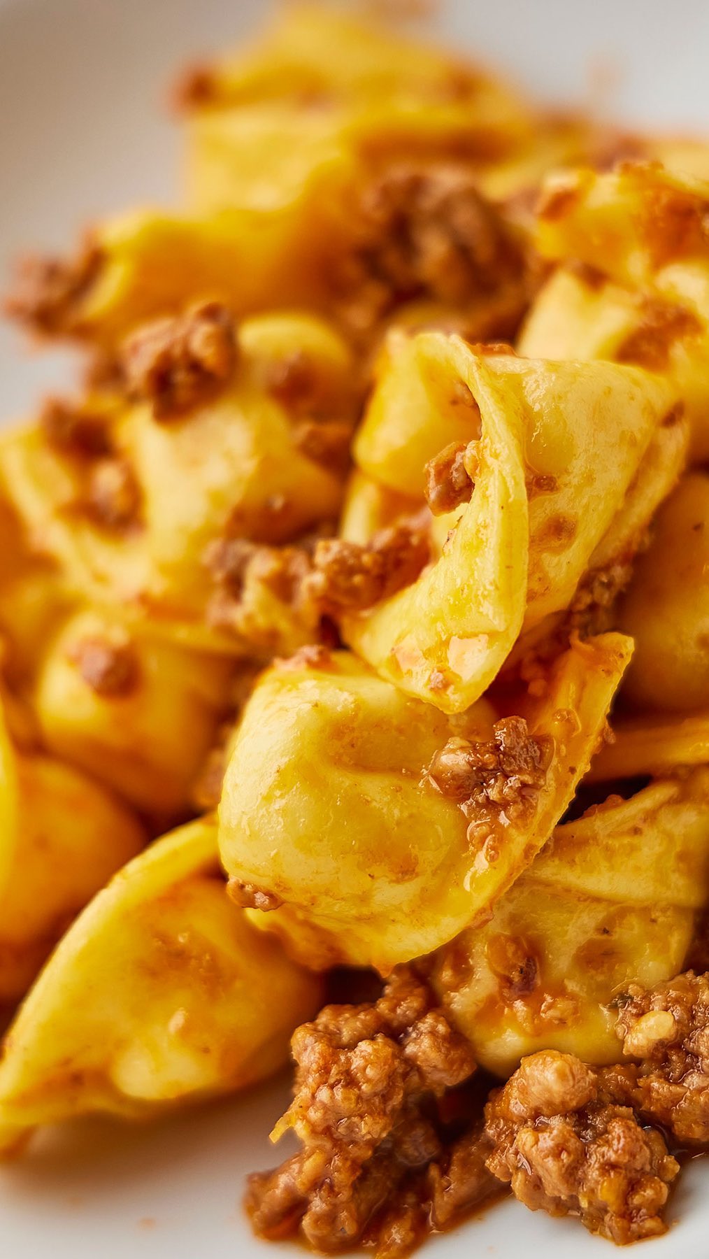 Cappelletti al ragù